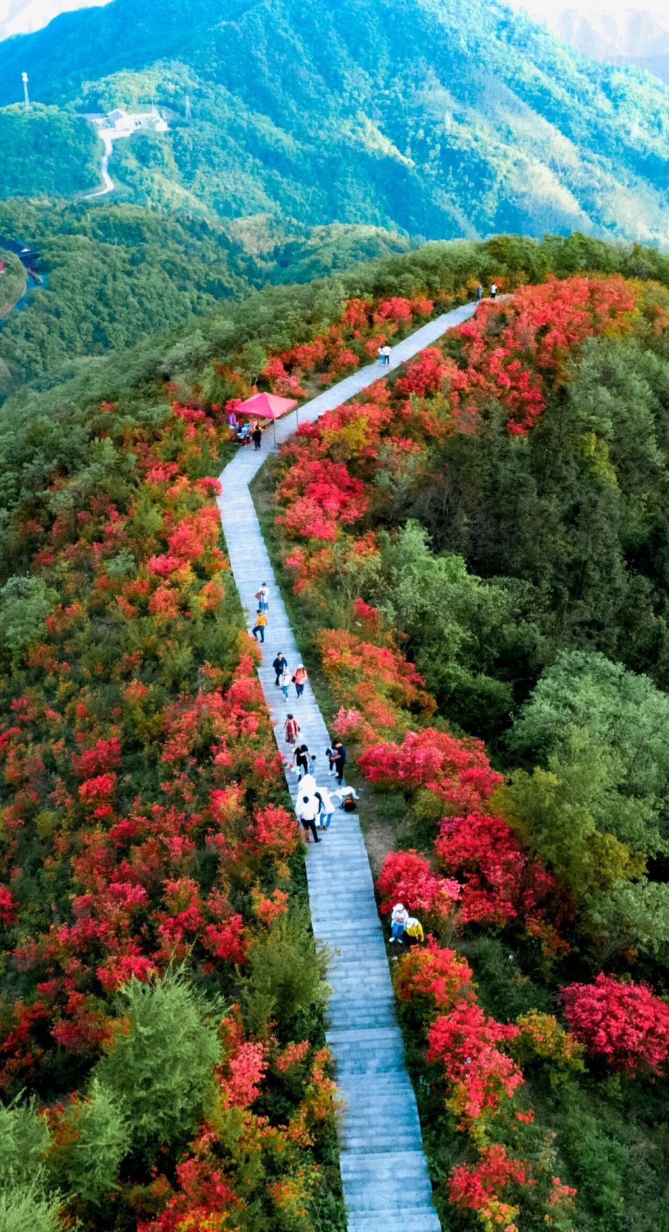 娄弟, src, EVkZn 娄弟, src, EVkZn