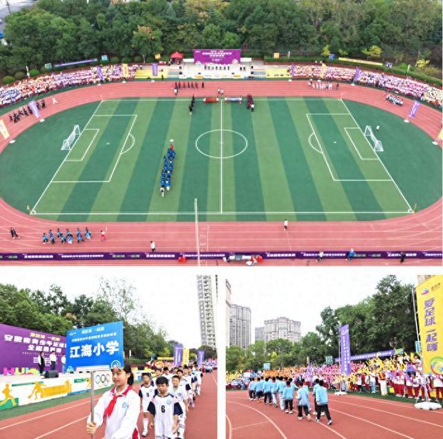 表全体裁判 表全体裁判